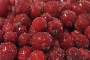 Frozen Red Currant